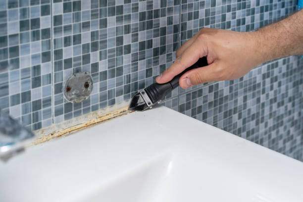 Best Professional Mold Removal  in Altamont, TN